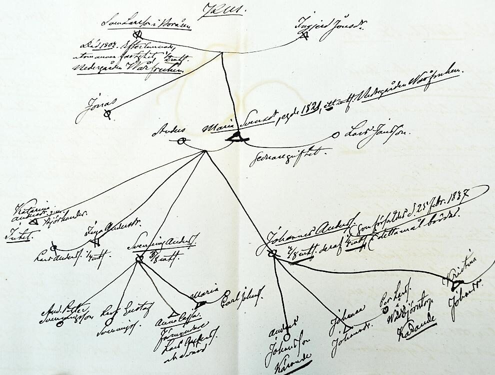 Why Study Inheritance Historically?